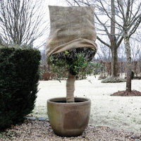 Thumbnail for Nature Winterschutz Jute 230 g/m² Natur 0,75x1 m