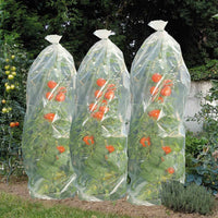 Thumbnail for Nature Tomaten-Reifehaube 1500×50 cm
