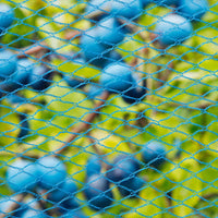 Thumbnail for Nature Vogelschutznetz Nano 5 x 4 m Blau