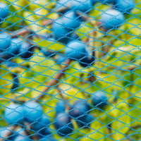 Thumbnail for Nature Vogelschutznetz Nano 10 x 4 m Blau