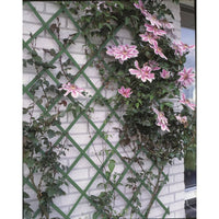 Thumbnail for Nature Garten-Rankgitter 50x150 cm PVC Grün 6040702