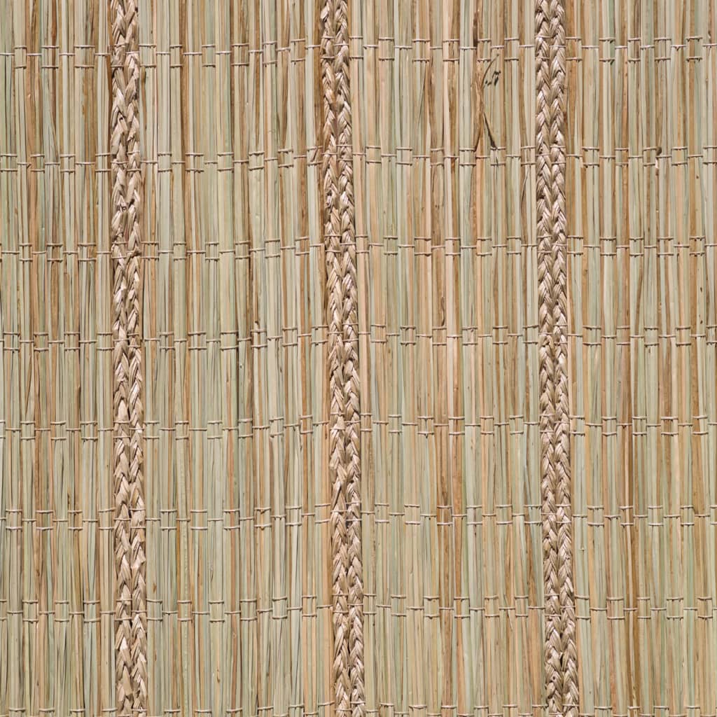 Nature Sichtschutz Carex-Riedgras 3×1,5 m