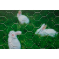 Thumbnail for Nature Sechseckgeflecht 1x5 m 40 mm Verzinkter Stahl
