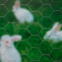 Thumbnail for Nature Sechseckgeflecht 1x10 m 40 mm Verzinkter Stahl