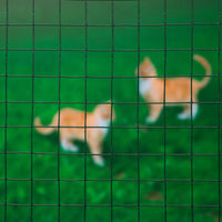 Thumbnail for Nature Maschendraht Quadrat 0,5x5m 13mm Kunststoffbeschichteter Stahl