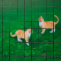 Thumbnail for Nature Drahtgeflecht Quadrat 1x5 m 25 mm Kunststoffbeschichteter Stahl