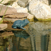 Thumbnail for Ubbink Wasserspeier Frosch 12 cm 1386008