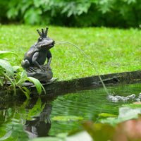 Thumbnail for Ubbink Wasserspeier Froschkönig