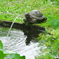 Thumbnail for Ubbink Wasserspeier Schildkröte