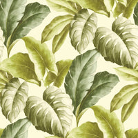 Thumbnail for DUTCH WALLCOVERINGS Tapete Tropische Blätter Grün und Weiß