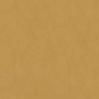 Thumbnail for DUTCH WALLCOVERINGS Tapete Chalk Marine Ockergelb
