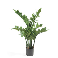 Thumbnail for Emerald Kunstpflanze Zamioculcas Glücksfeder 70 cm