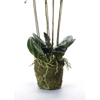 Thumbnail for Emerald Kunstpflanze Phalaenopsis mit Moos Weiß 90 cm 20.355
