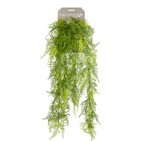 Thumbnail for Emerald Künstlicher Feder-Spargel Asparagus Plumosus 80 cm