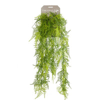 Thumbnail for Emerald Künstlicher Feder-Spargel Asparagus Plumosus 80 cm