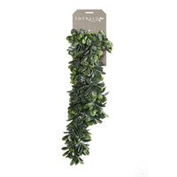 Thumbnail for Emerald Künstliche Crassula 80 cm