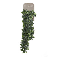 Thumbnail for Emerald Künstliche Crassula 80 cm