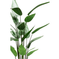 Thumbnail for Emerald Kunstpflanze Helikonie Grün 125 cm 419837