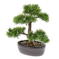 Thumbnail for Emerald Kunstpflanze Bonsai Zeder Grün 32 cm 420001