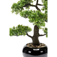 Thumbnail for Emerald Kunstpflanze Bonsai Ficus Grün 47 cm 420006