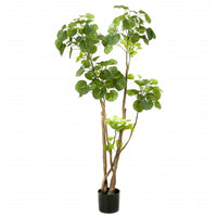 Thumbnail for Emerald Kunstpflanze Fiederaralien Grün 135 cm 420292