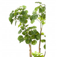 Thumbnail for Emerald Kunstpflanze Fiederaralien Grün 135 cm 420292