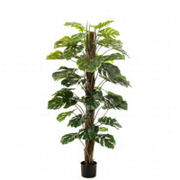 Thumbnail for Emerald Kunstpflanze Monstera an Stangen 150 cm