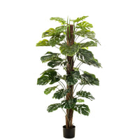 Thumbnail for Emerald Kunstpflanze Monstera an Stangen 150 cm