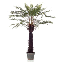 Thumbnail for Emerald Kunstpflanze Dicksonia Baumfarne im Topf 125 cm