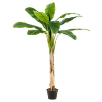 Thumbnail for Emerald Künstlicher Bananenbaum im Topf 120 cm