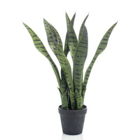 Thumbnail for Emerald Sansevieria Bogenhanf Künstlich 55 cm im Topf
