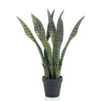 Thumbnail for Emerald Sansevieria Bogenhanf Künstlich 55 cm im Topf