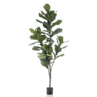 Thumbnail for Emerald Geigenfeige Ficus lyrata Künstlich 160 cm