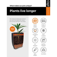 Thumbnail for Capi Vase Urban Smooth Elegant Niedrig 26x36 cm Schwarz KBL781