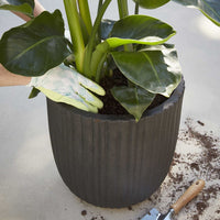 Thumbnail for Capi Blumentopf Urban Tube Oval 43 x 41 cm Schwarz KBLT933