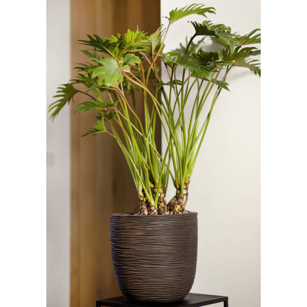 Capi Blumentopf Nature Rib 43x41 cm Dunkelbraun