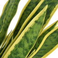 Thumbnail for Künstliche Sansevieria Bogenhanf mit Topf 65 cm Grün