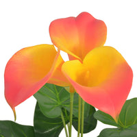Thumbnail for Künstliche Calla-Lilie mit Topf 45 cm Rot und Gelb