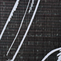 Thumbnail for Raumteiler klappbar 120 x 170 cm Federn Schwarz-Weiß