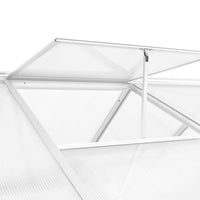 Thumbnail for Gewächshaus Aluminium 302x190x195 cm 11,19 m³
