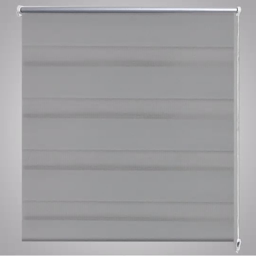 Doppelrollo 50 x 100 cm grau
