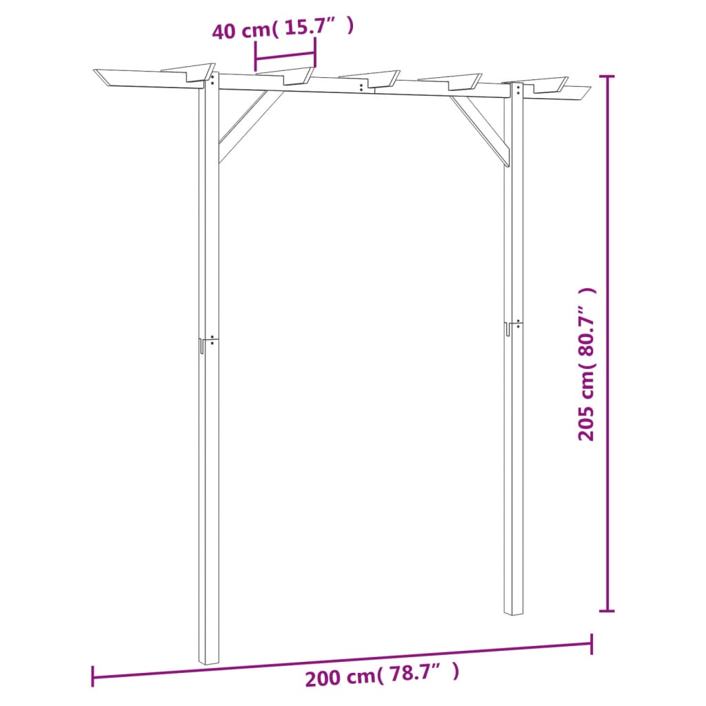 Gartenpergola 200x40x205 cm Holz