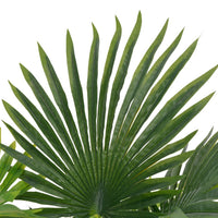 Thumbnail for Künstliche Pflanze Palme mit Topf Grün 70 cm