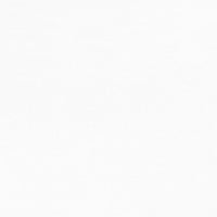 Thumbnail for Matratze 100 x 200 cm 7 Zonen PU Schaum 10 cm H2 H3