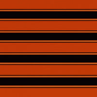 Thumbnail for Markisenbespannung Canvas Orange & Braun 450 x 300 cm