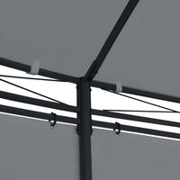Thumbnail for Pavillon mit Vorhängen 520x349x255 cm Anthrazit