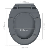 Thumbnail for Toilettensitz mit Absenkautomatik Quick-Release Grau Oval