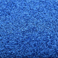 Thumbnail for Fußmatte Waschbar Blau 60x90 cm