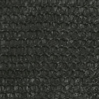 Thumbnail for Sonnensegel 160 g/m² Anthrazit 2,5x3 m HDPE