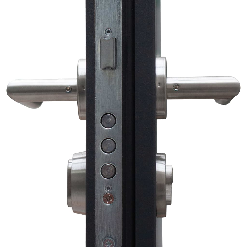 Haustür Aluminium Anthrazit 90x200 cm